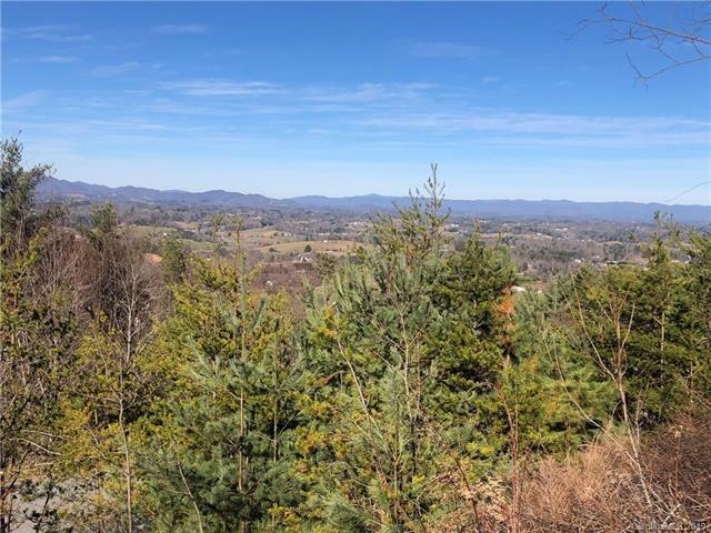 95 Balsamwood Rd unit 31, Leicester, NC 28748 - photo 1