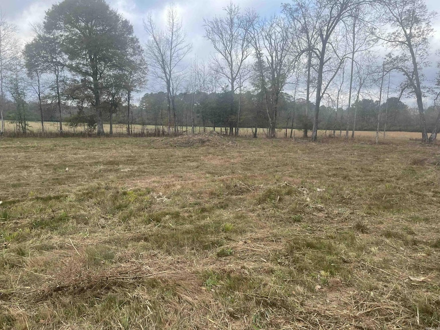 7121 Cold Creek Dr, Alexander, AR 72002 - photo 1