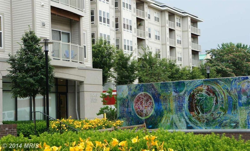 8045 Newell St unit 207, Silver Spring, MD 20910 - photo 1