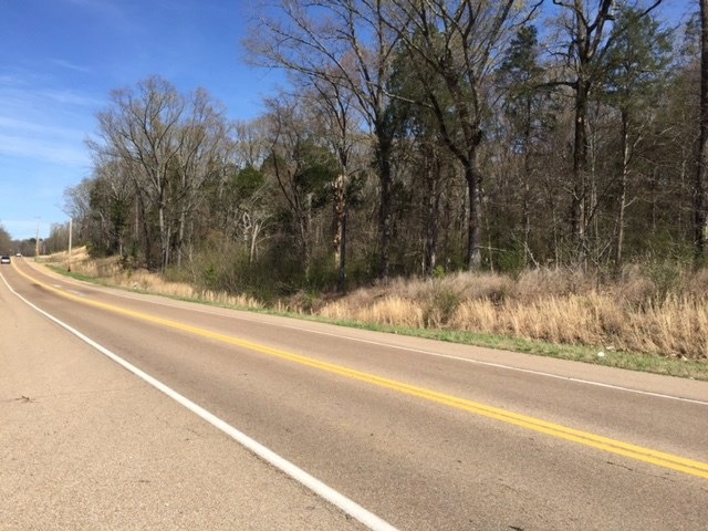 0 Houston Levee Rd unit 9972844, Gray's Creek, TN - photo 1