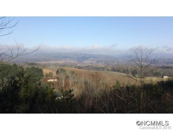 102 Balsamwood Dr unit 23, Leicester, NC 28748 - photo 1