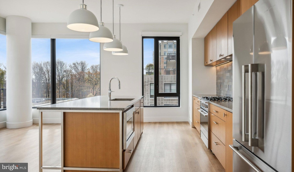 10511 Strathmore Hall St unit 2B-3A-103, North Bethesda, MD 20852 - photo 1