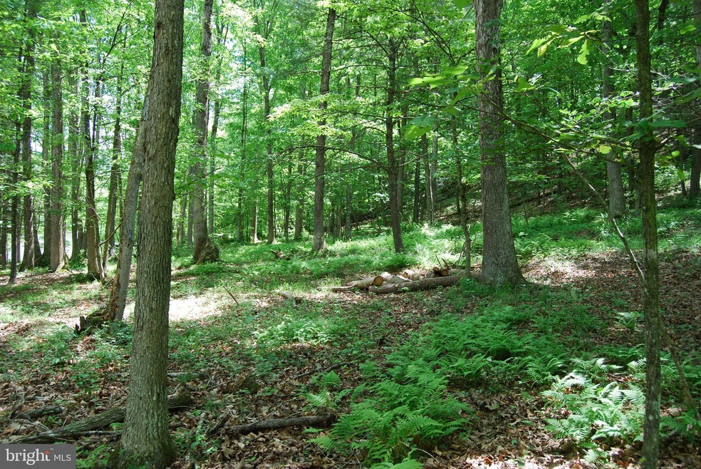 Lot 13 Pleasant Dale Ln, Great Cacapon, WV 25422 - photo 1