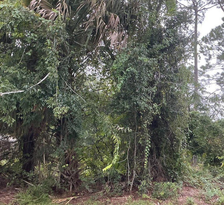 39 Whittington Dr, Palm Coast, FL 32164 - photo 1