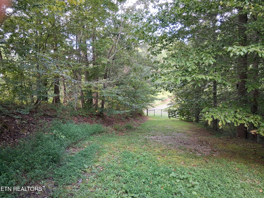 0 Fugate Rd unit 1314677, Del Rio, TN 37727 - photo 1