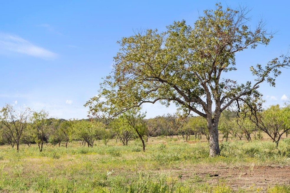10 Rustic Ridge Ranch, Johnson City, TX 78636 - photo 1