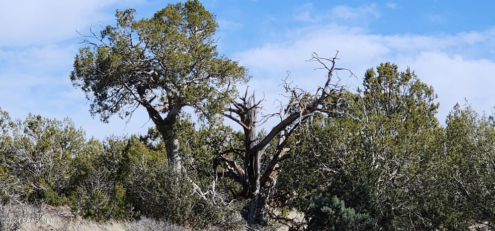 639 Westwood Ranch, Ash Fork, AZ 86320 - photo 1