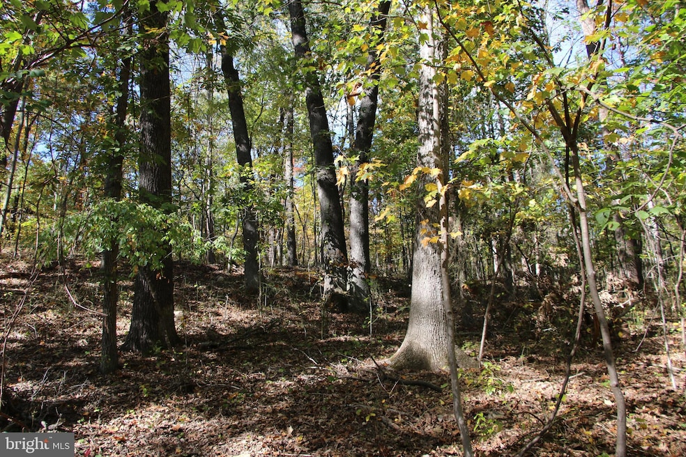 0 River View Place unit VAPA2005486, Shenandoah, VA 22849 - photo 1
