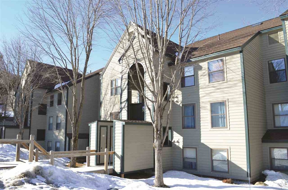 42 Harrison Ln unit M-106, Ludlow, VT 05149 - photo 1