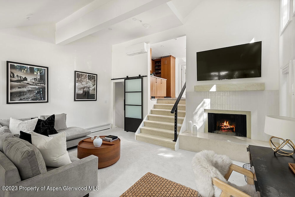 900 E Durant Ave unit E116, Aspen, CO 81611 - photo 1