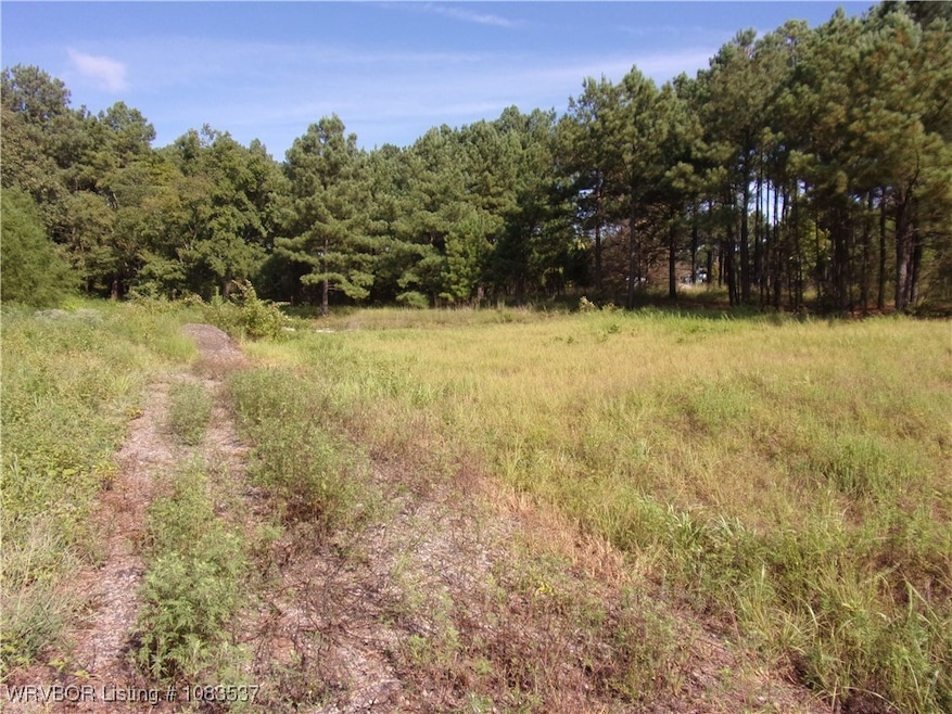 TBD Scenic View Rd, Ozark, AR 72949 - photo 1