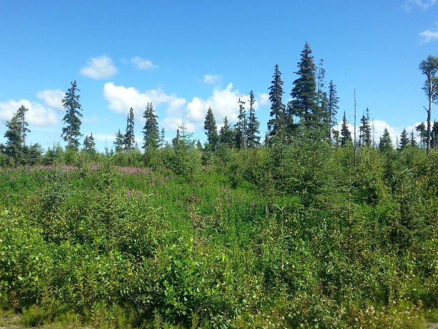 20140729_160304.jpg