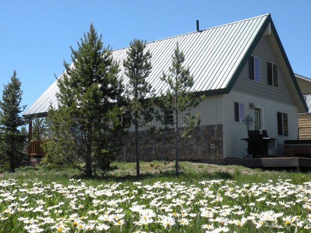 Main View