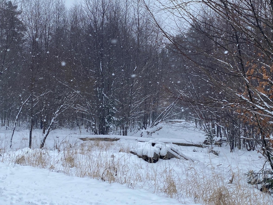 Lot 225 W Birch Ln, Beaver Cove, ME 04441 - photo 1