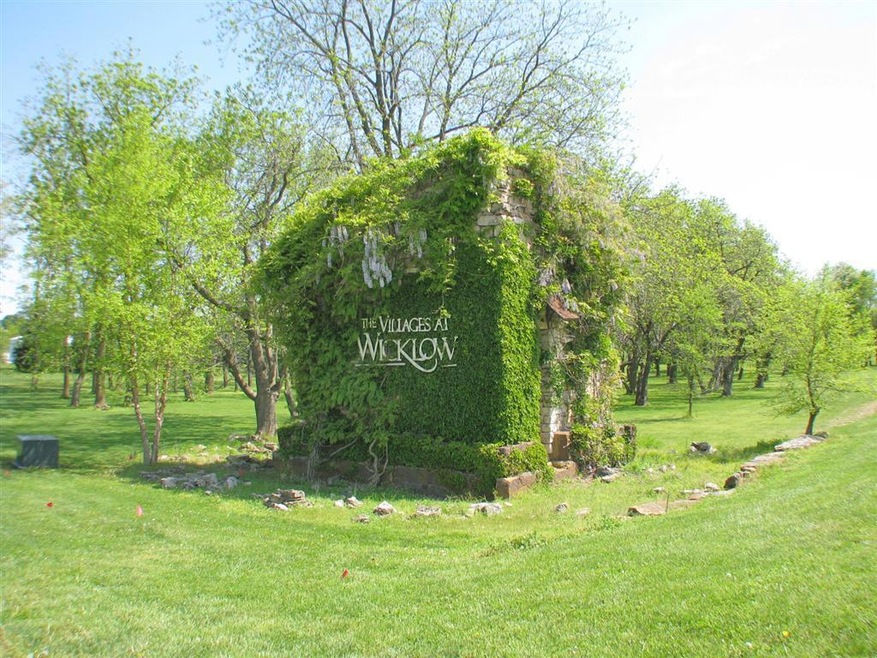 Lot 40 Village at Wicklow, Nixa, MO 65714 - photo 1