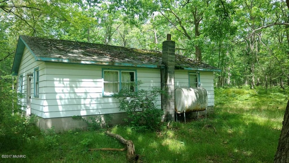 2133 Aster St, Bitely, MI 49309 - photo 1