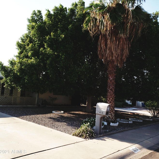 1414 FRONT YARD
