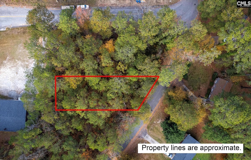 0000 Herbert St, Columbia, SC 29205 - photo 1