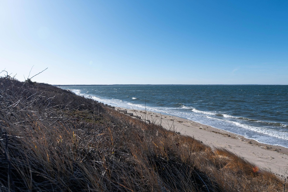 Association Beach