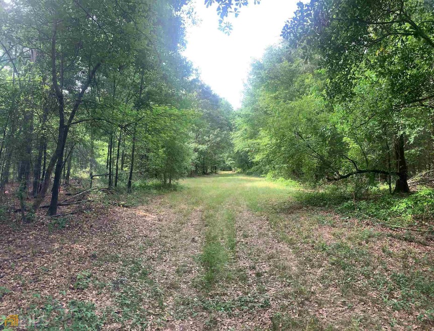 1110 Lackey Rd unit 17.7 ACRES, Winder, GA 30680 - photo 1