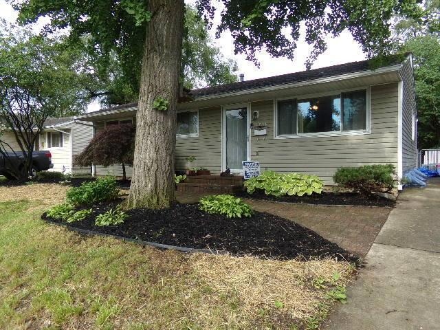 1568 Selkirk