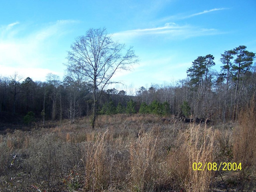 01 U S Highway 51, Wesson, MS 39191 - photo 1