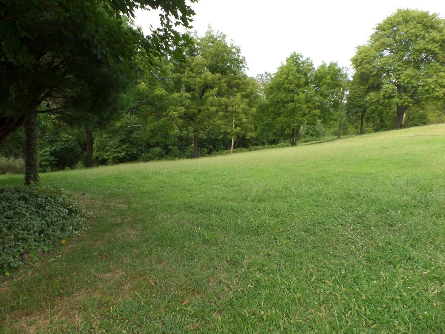 Lot 7 Irish Hills Blvd, Kimberling City, MO 65686 - photo 1