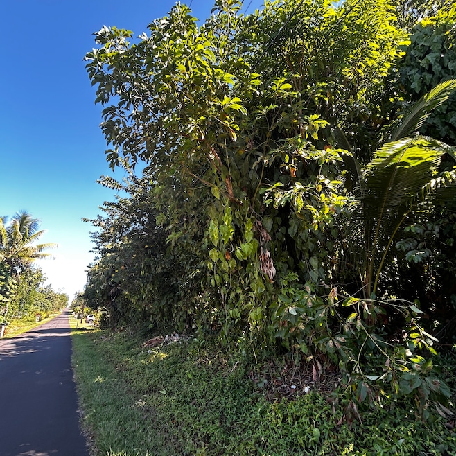 0 S Opae St unit 725854, Pahoa, HI 96778 - photo 1