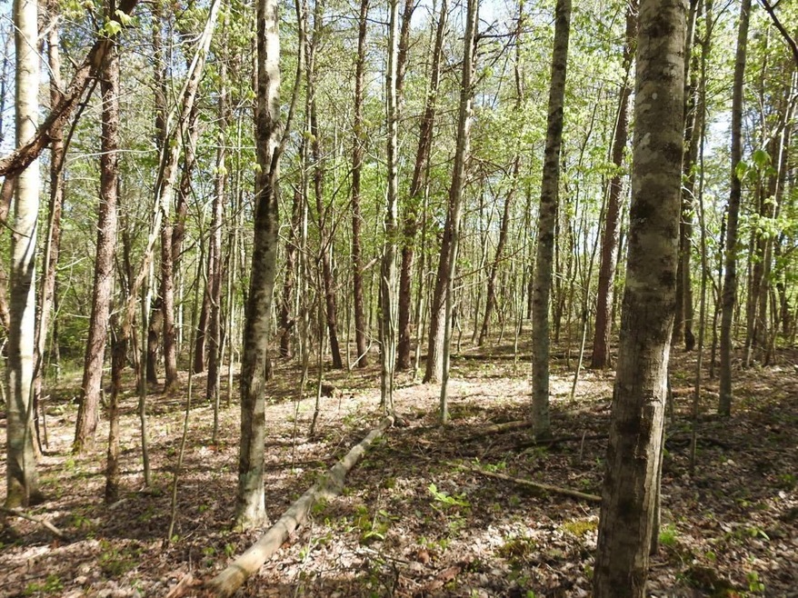 999 Ben Baker Rd, Somerset, KY 42501 - photo 1