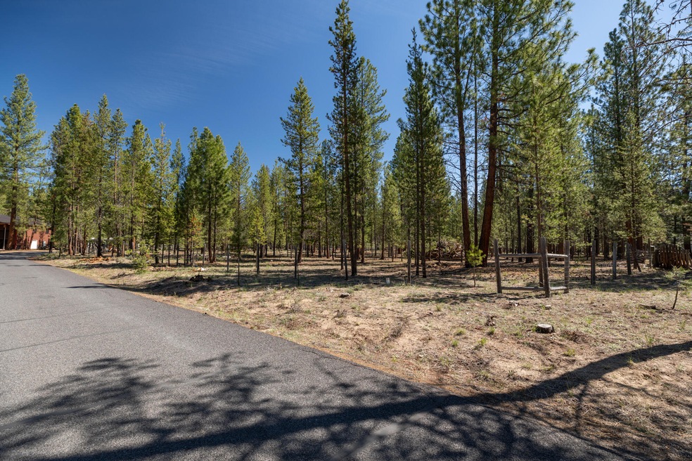 3900 Lot Wagon Trail_ (1)