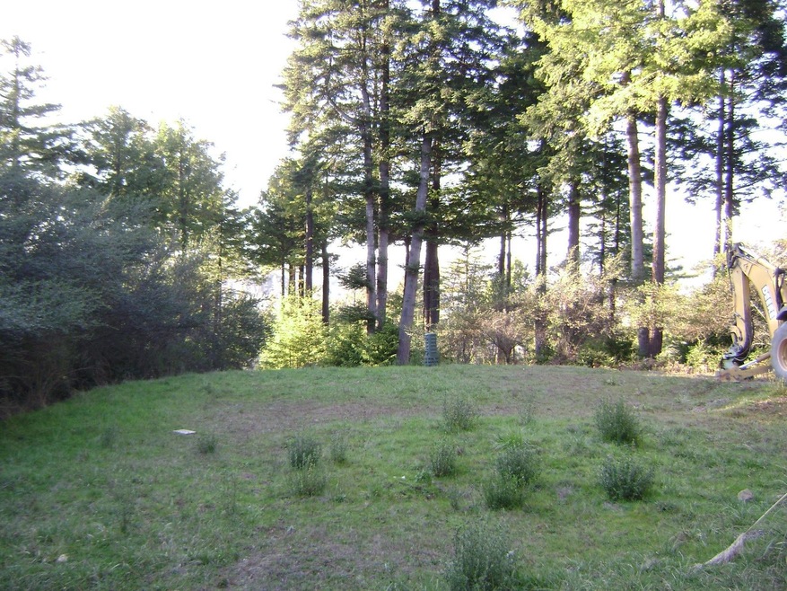 DSC08470