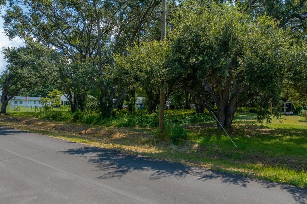 1906 Hobbs Rd, Tampa, FL 33619 - photo 1