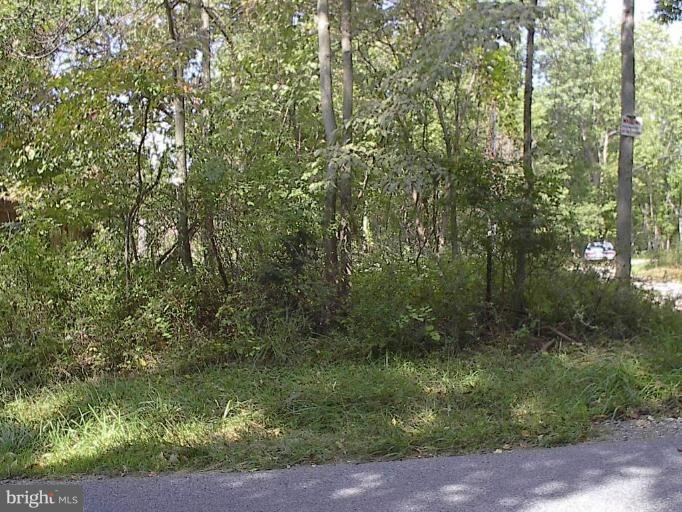 1016 Harpers Ferry Rd, Knoxville, MD 21758 - photo 1