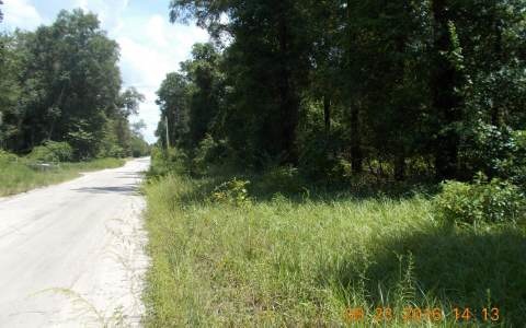 TDB 274th St, Branford, FL 32008 - photo 1