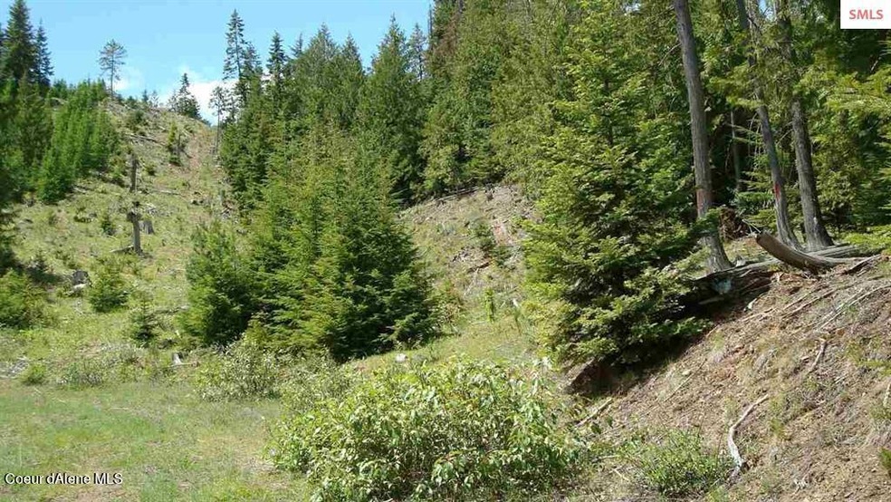 South Boundary