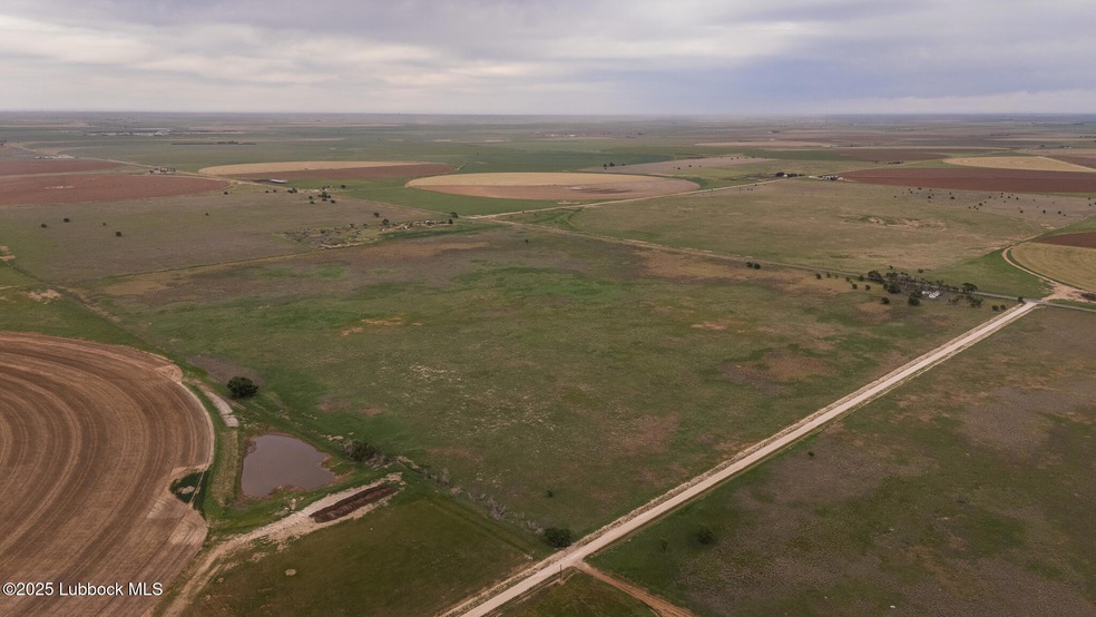 DJI_20250515093051_0141_D
