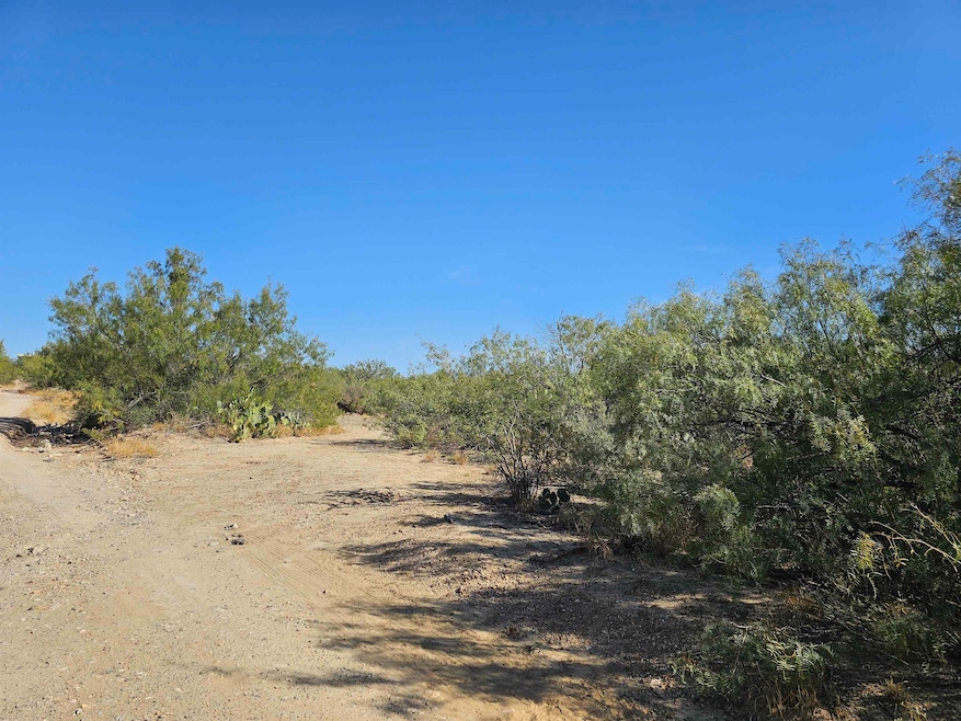 0 Abst 280 Por 10 unit 20255030, Laredo, TX 78045 - photo 1