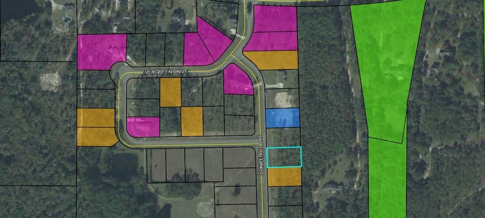 0 Conifer Ct unit 299382, Crawfordville, FL 32327 - photo 1