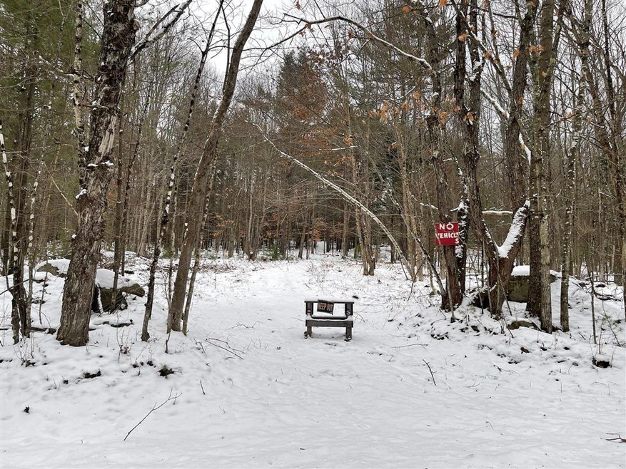 M16L26-1 Ibey Rd, Enfield, NH 03748 - photo 1