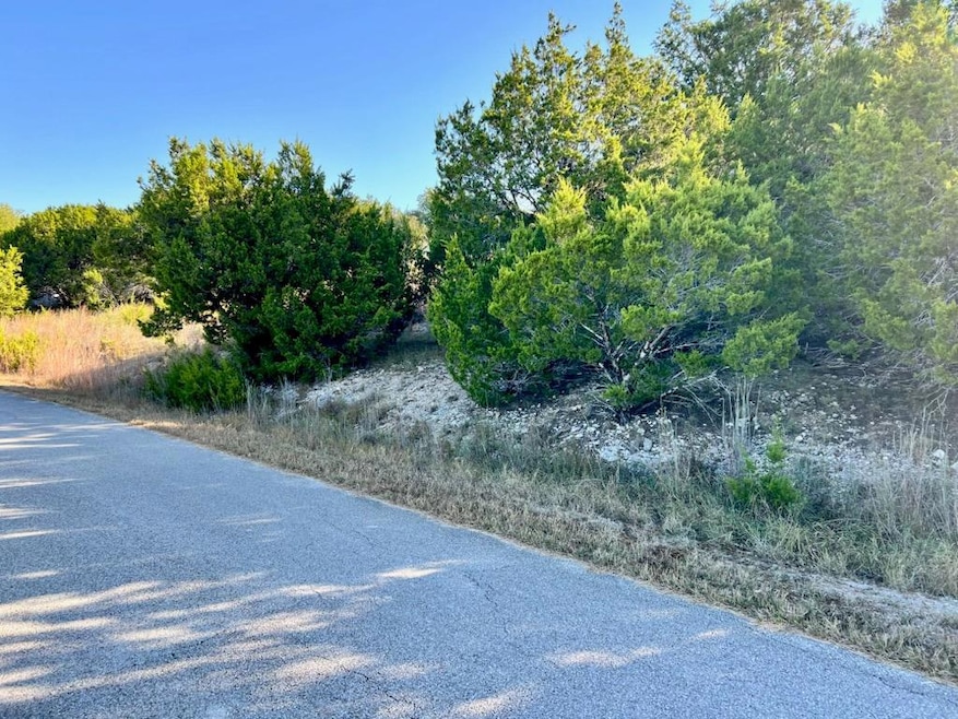 3401 Eisenhower Ave, Lago Vista, TX 78645 - photo 1