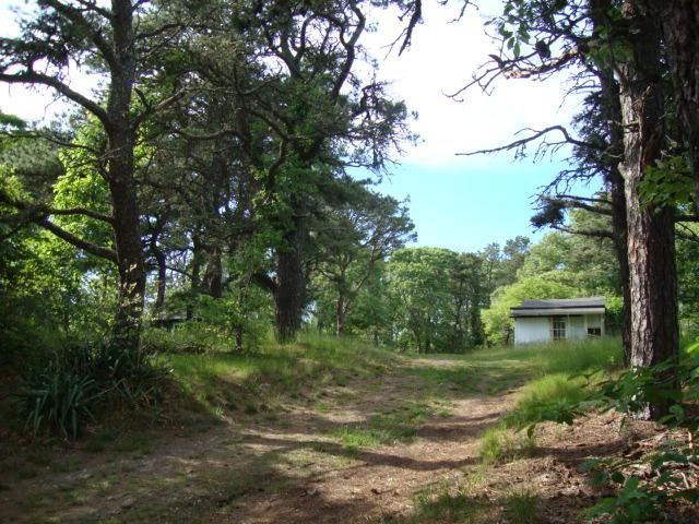 DSC02100