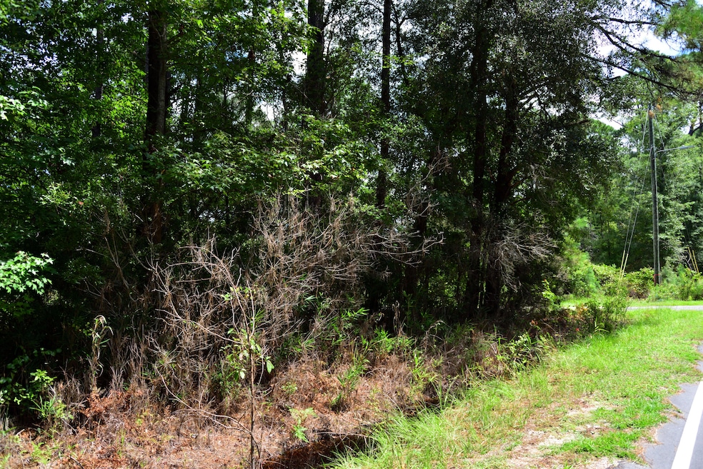 0 Cherry Hill Rd unit 25023693, Hollywood, SC 29449 - photo 1