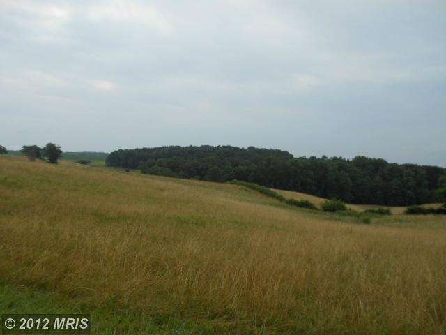 11805 Prices Distillery Rd, Damascus, MD 20872 - photo 1