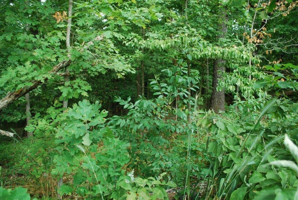 Lot 20 Berkshire Dr, Bella Vista, AR 72714 - photo 1