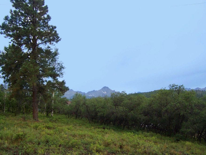 View 1