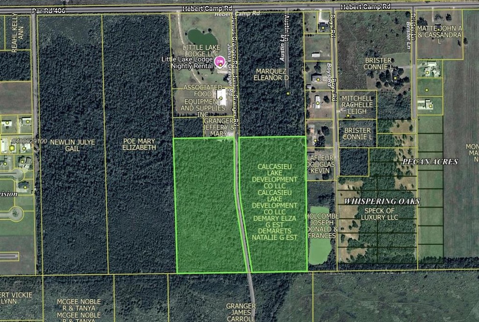 0 Junius Granger Rd unit SWL25102257, Grand Lake, LA - photo 1