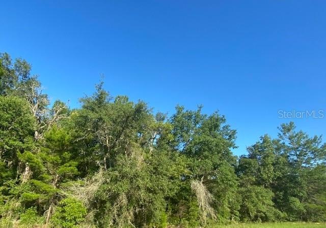 0 SW 18th Ave unit MFRO6147784, Ocala, FL 34473 - photo 1