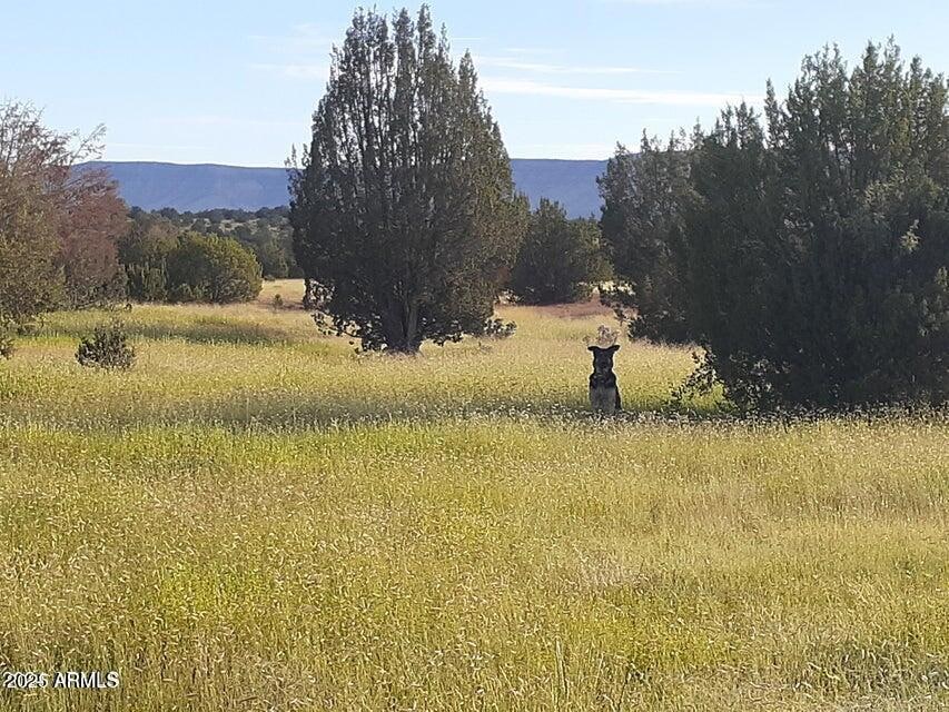 32018 W Calle Ines Pkwy, Seligman, AZ 86337 - photo 1