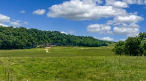 XXX S 590 Rd, Jay, OK 74346 - photo 1