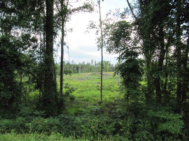 0 Zebulon Rd unit 3 M118018, Macon, GA 31220 - photo 1